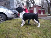 Превью фото № 196369