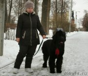 Превью фото № 196401