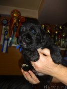 Превью фото № 196448