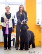 Превью фото № 196519