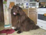 Превью фото № 196524