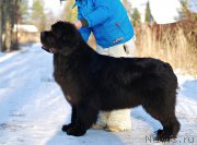 Превью фото № 196552