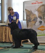 Превью фото № 196624