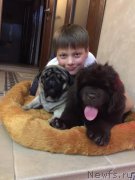 Превью фото № 196665