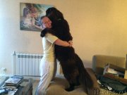 Превью фото № 196668