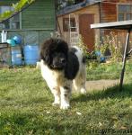 Превью фото № 19669