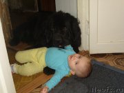 Превью фото № 196698