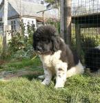 Превью фото № 19670