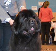 Превью фото № 196723