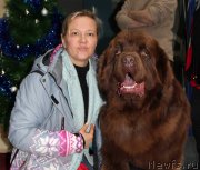 Превью фото № 196729