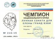 Превью фото № 196819