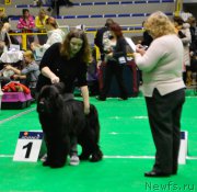 Превью фото № 196834
