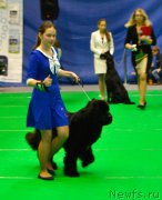 Превью фото № 196837