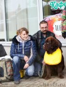 Превью фото № 196844