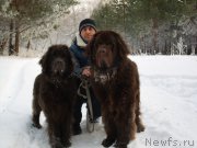 Превью фото № 196849