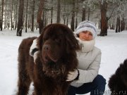 Превью фото № 196851