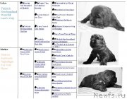 Превью фото № 196990