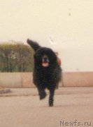 Превью фото № 197037