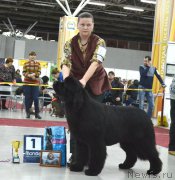 Превью фото № 197149