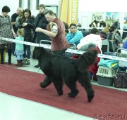 Превью фото № 197161