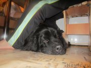 Превью фото № 197305