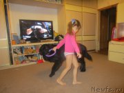 Превью фото № 197310