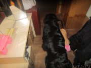 Превью фото № 197312