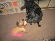 Превью фото № 197313