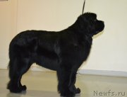 Превью фото № 197323