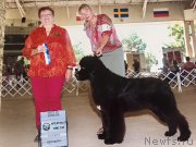 Превью фото № 197330