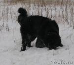 Превью фото № 19737