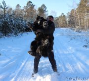 Превью фото № 197416