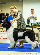 Превью фото № 197440