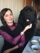 Превью фото № 197447