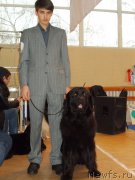 Превью фото № 197462