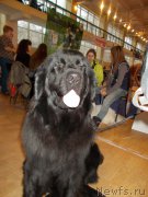 Превью фото № 197464