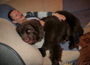 Превью фото № 197471