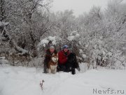 Превью фото № 197472