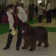 Превью фото № 197479