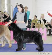 Превью фото № 197490