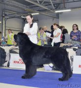 Превью фото № 197497