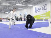 Превью фото № 197498