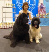 Превью фото № 197559