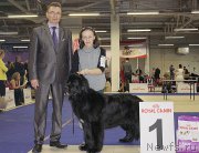 Превью фото № 197604