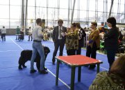 Превью фото № 197642