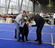 Превью фото № 197643