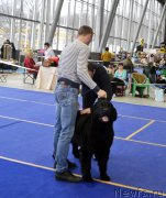 Превью фото № 197644