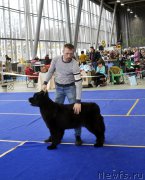 Превью фото № 197645