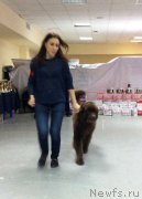 Превью фото № 197654