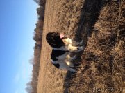 Превью фото № 197703